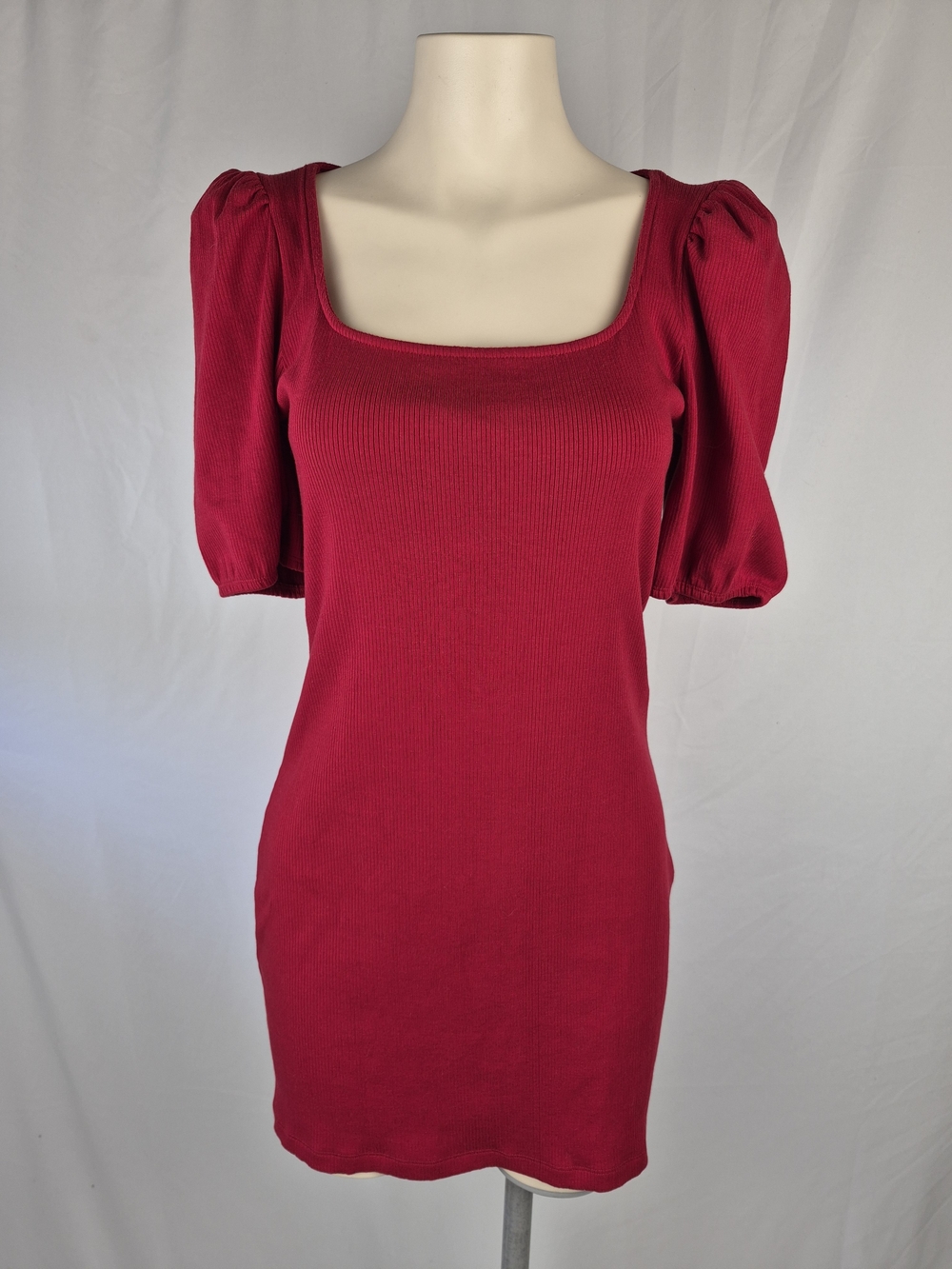 Aritzia Sunday Best Raspberry Square-Neck Puff Sleeve Mini Dress